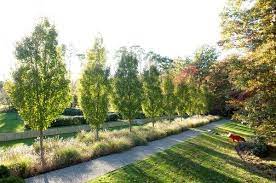 Landscape Design Pictures Gallery Garden Design Garden Landscape Design Garden Design Landscape Architect