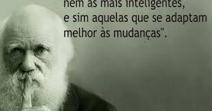 Pin De Ronaldo Picorelli Em Diy E Trabalhos Manuais Frases Mudanca Frases Sabias Frases Construtivas