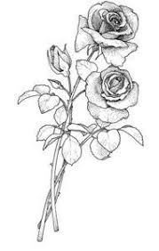 Here is part two on how to draw a rose. Tattoo Long Stem Rose Drawing Novocom Top
