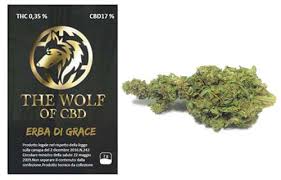 Grace is an international studio of architecture, urbanism, design and research based in milan and moscow. Blueberry The Wolf Of Cbd