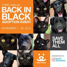 Comedy events cat watch animal antics. Super Adoption Events Animal Society Animals Puppy Adoption