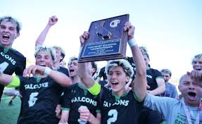 Prep basketball: Boys preview capsules