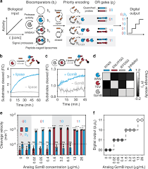 It is an economical alternative to proteinase k for isolation of native dna and rna from a variety of sources. Protease Circuits For Processing Biological Information Nature Communications