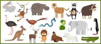 Our large collection of science worksheets are a great study tool animal adaptations. 3rd Grade Science Worksheets About Animals Parenting
