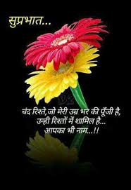 Top wallpaper of hindi good morning photo shayari download whatsapp group friends. Pin By Anna Saini On Hindi Qoutes N Good Morning Quotes Good Morning Friends Quotes Morning Quotes
