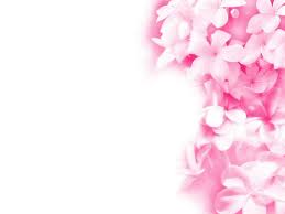 Maybe you would like to learn more about one of these? 66 Light Pink Flower Wallpaper On Wallpapersafari