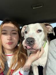 Edit: owner found. This dog is named basil and he lives