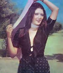 يشار إلى أنّ شمس البارودي دخلت المجال الفني عام 1961 واعتزلته عام 1984. Ø¨Ø¹Ø¯ ØªØ¯Ø§ÙˆÙ„ ØµÙˆØ±Ù‡Ø§ Ù…Ø¹ Ø£Ø³Ø±ØªÙ‡Ø§ Ø­Ù‚Ø§Ø¦Ù‚ Ù„Ø§ ØªØ¹Ø±ÙÙ‡Ø§ Ø¹Ù† Ø§Ù„ÙÙ†Ø§Ù†Ø© Ø§Ù„Ù…Ø¹ØªØ²Ù„Ø© Ø´Ù…Ø³ Ø§Ù„Ø¨Ø§Ø±ÙˆØ¯ÙŠ ØµÙˆØª Ø§Ù„Ø£Ù…Ø©