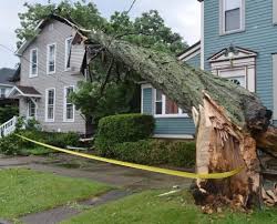 This includes taking pictures and video of your property damage. 5 Reasons Why Your Hurricane Deductible Might Get Denied Synergy Insurance