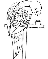 Just the act of coloring can help us deal with stress and anxiety. Free Printable Parrot Coloring Pages For Kids