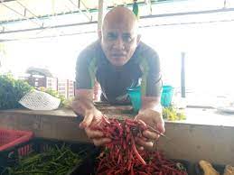 You may be interested in. Harga Cili Padi Paling Tinggi Dalam Tempoh 30 Tahun Utusan Digital