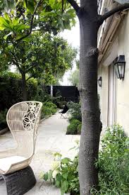 Appartement En Rez De Jardin Une Renovation Reussie A Paris Jardins Jardin Exterieur Petits Jardins