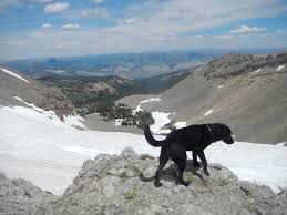 Classic climbing routes at sleeping indian. Hiking Up Sleeping Indian Tales From A Wandering Albatross