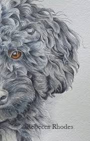 How To Paint A Curly Haired Poodle In Watercolor Rebecca Rhodes Watercolor Dog Labradoodle Art Poodle Drawing