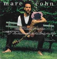 Image result for Silver 1992 Thunderbird