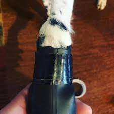 Modern canine vlog 21.875 views2 years ago. Inexpensive Rubber Bird Dog Boots Sporting Road