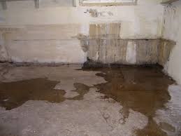Check spelling or type a new query. The Science Behind Basement Cold Rooms Gj Macrae Foundation Repair