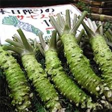 Sales of seeds will begin in april? Jardineria Japanese Horseradish Seed Vegetable Seeds Bonsai Plant Diy Home Garden Plants Free Shipping Virtue Sale 200pcs Lot Wasabi Seeds Jardin Lekabobgrill Com