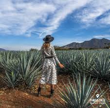 Pin En Guadalajara Mexico