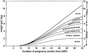 3 composition and components of gestational weight gain