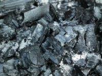 Can i use ashes in my garden. Can You Put Wood Ashes In Your Garden Benefits Cautions Greenupside