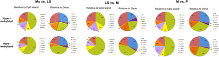 pie charts of dmrs between different menstrual cycle phases