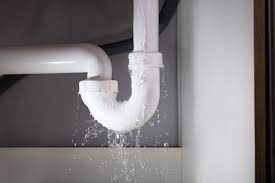 If your faucet doesn't currently have a secondary sprayer, check the configuration of the sink to make sure that there is an available mounting hole for the sprayer. How To Fix A Leaking Kitchen Sink Kitchen Sink Leaking Rosenthal