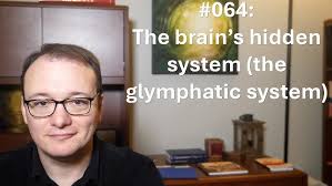 Glymphatic System Function and Flow: A Key Link in the Understanding of... 