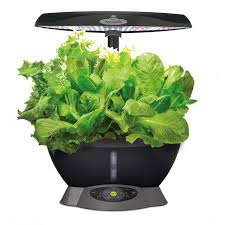 Aerogarden black harvest indoor hydroponic garden. Best Aerogarden 2020 Reviews