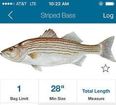 new free app for saltwater fishing regulations on the water