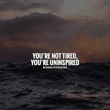 Pin On Social Media Management