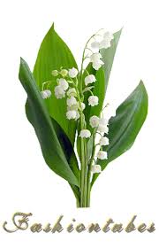 Marie claire le symbole traditionnel du 1er mai, le brin de muguet, est très vert cette année. Brin De Muguet Fashiontubes Net