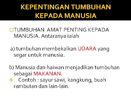 Demikian pentingnya agama dalam kehidupan manusia, sehingga diakui atau tidak, sesungguhnya manusia s. Tumbuhan 1 Daun Jenis Urat Daun Urat Selari