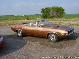 Image result for Dark Tan 1970 Challenger