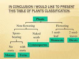 It is exercise or test. Introduction Types Of Plant Kingdom Online Presentation