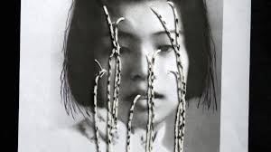 Canyon Cinema : Now Available: Three Works by Al Wong