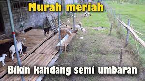 Keuntungan dan kekurangan kandang kambing semi umbarandapatkan video menarik mengenai peternakan kambing domba di link kami bawah ini :* pelatihan ternak. Kandang Kambing Semi Umbarançš„youtubeè§†é¢'æ•ˆæžœåˆ†æžæŠ¥å'Š Noxinfluencer