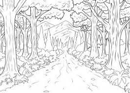 ce coloriage represente un chemin interminable en plein coeur d une foret jungle dessin de ninjago lloyd garmadon
