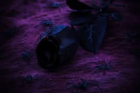 I am sorry, please forgive me, sorrow. Do Purple Flowers Mean Death