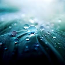 Download the best hd and ultra hd wallpapers for free. New Wallpapers Top Free New Backgrounds Wallpaperaccess