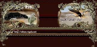 أبيات ابيان غربة الروح قصيدة غربة الروح كتب لها