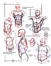 See more ideas about anatomy, man anatomy, anatomy reference. Character Anatomy Male