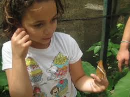 Creque Travels: May 2011