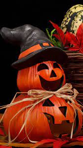 Pin On Lil Halloween Fun