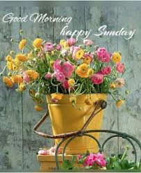 Sunday Good Morning Images In Telugu In 2020 Good Morning Happy Sunday Flowers Happy Sunday