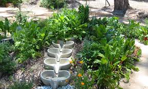 No matter what type of garden you are trying to grow, planning will always be a smart move. Setting Up In A School Candlelight Farm Permaculture