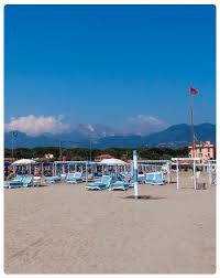 Associazioni sindacali e di categoria. Marina Di Pietrasanta