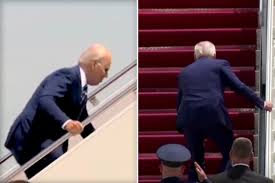 Image result for Bidens steppia