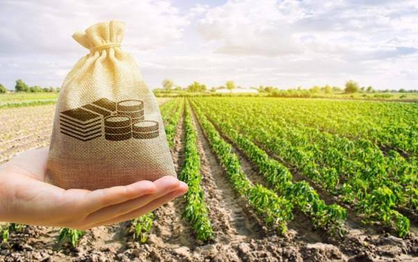 چه مناطقی آینده رشد بیشتری دارند؟ 
