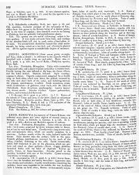 Image result for Kohautia ramosissima